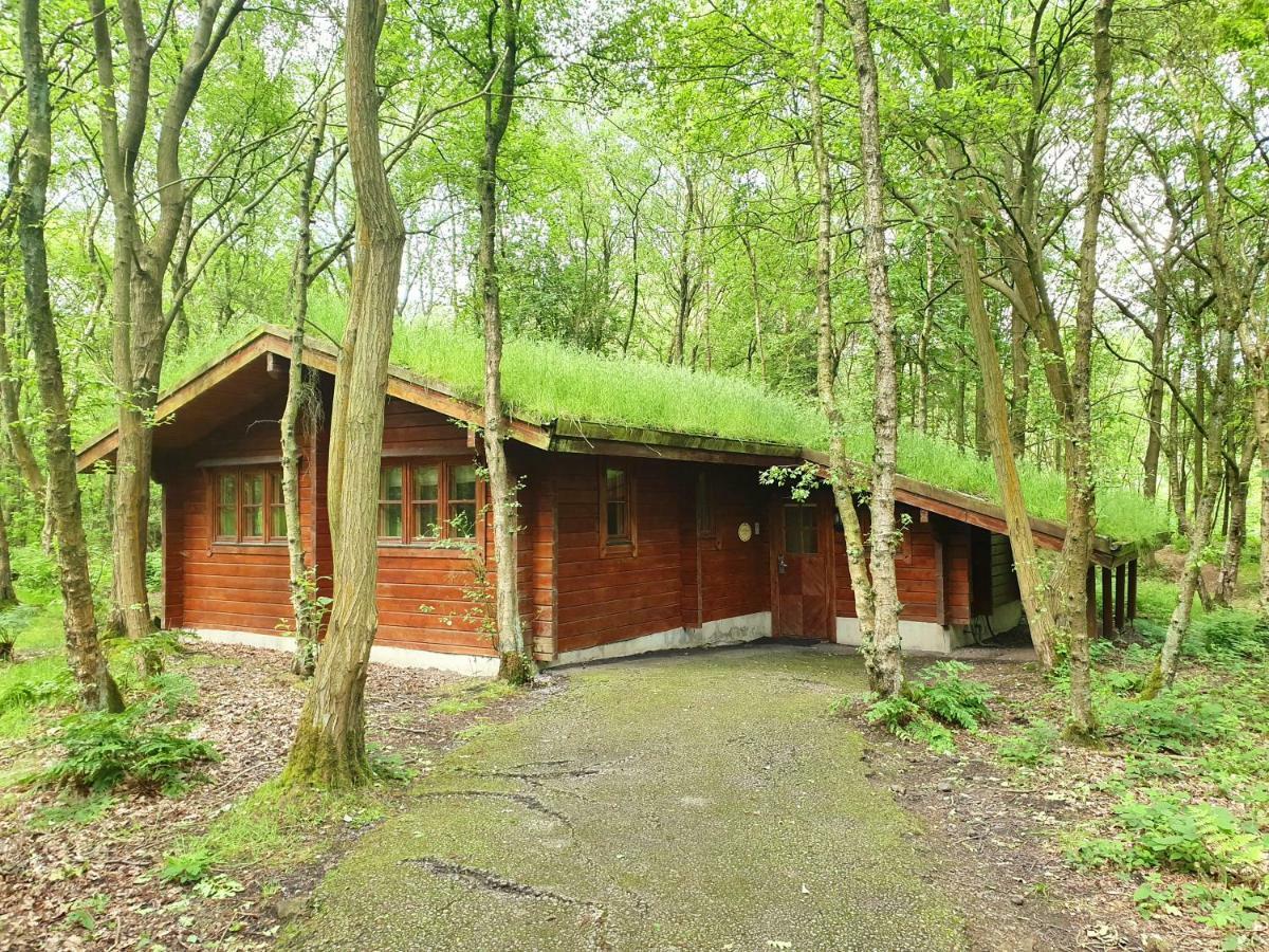 Woodland Lodge - self catering,1246776892:JPEG