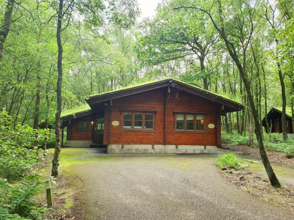Woodland Cabin Standard,784395864:JPEG